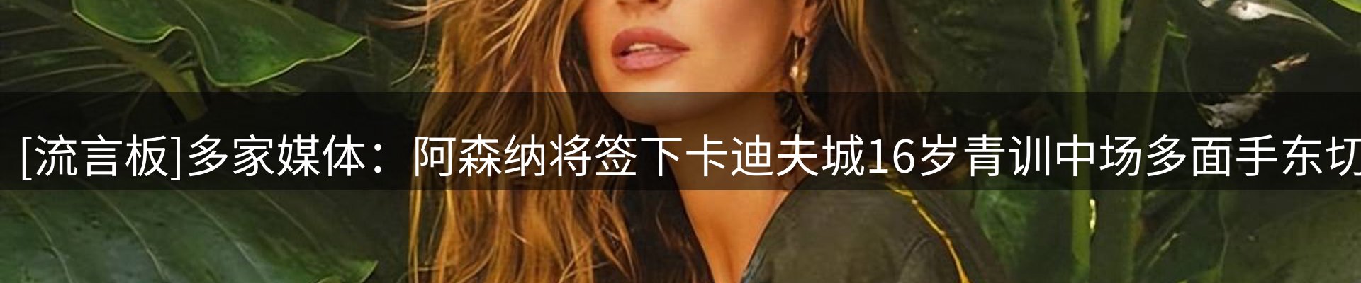 网站资讯